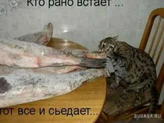 Смотреть фильмы мелодрамы 2005 года